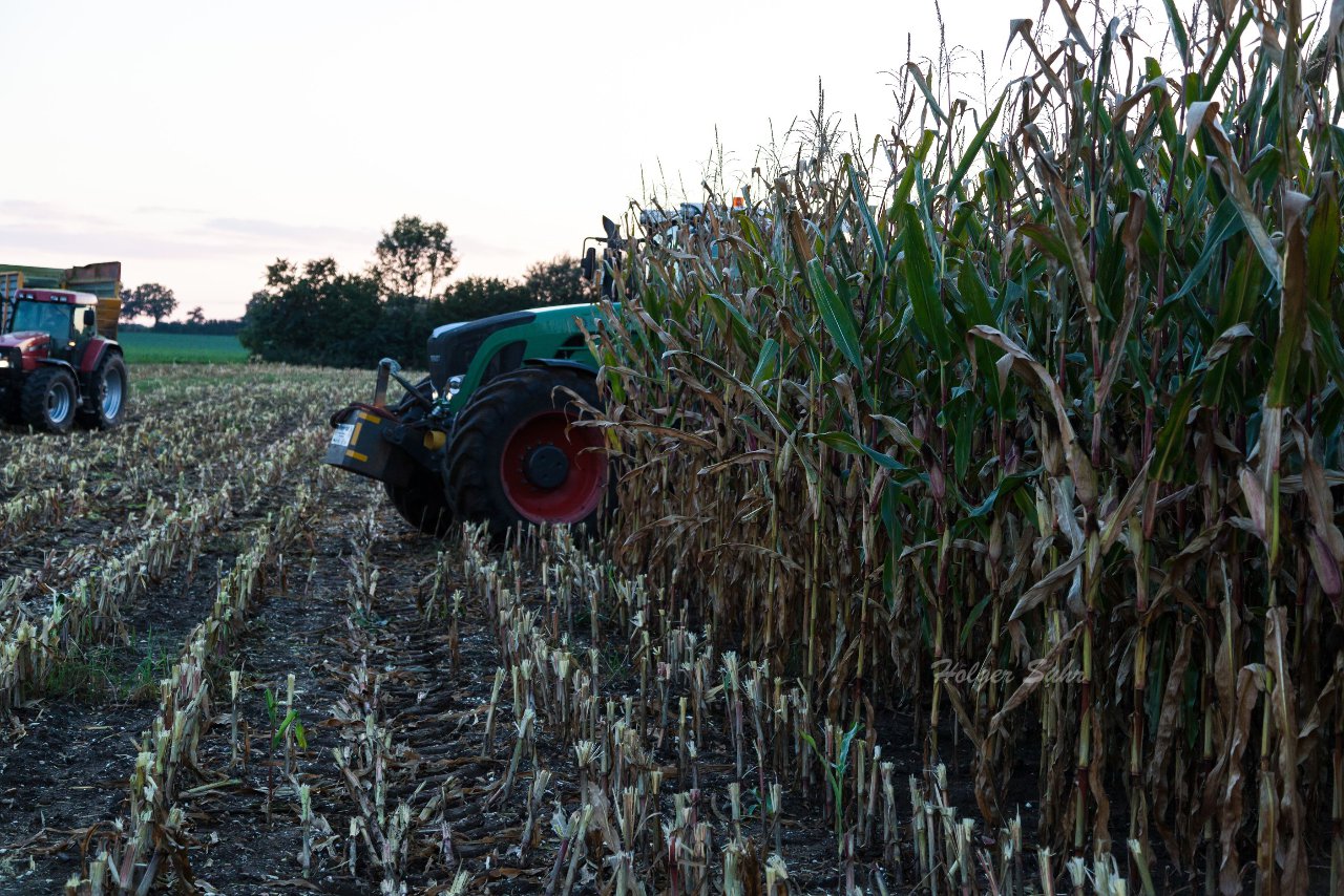 Bild 34 - Maisernte am 11.10.12